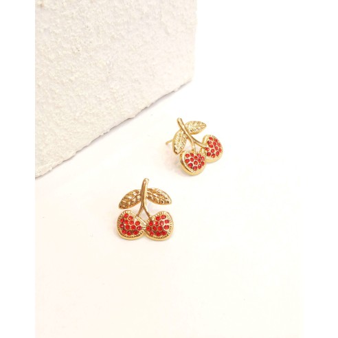 Boucles d'oreilles acier inoxydable E491