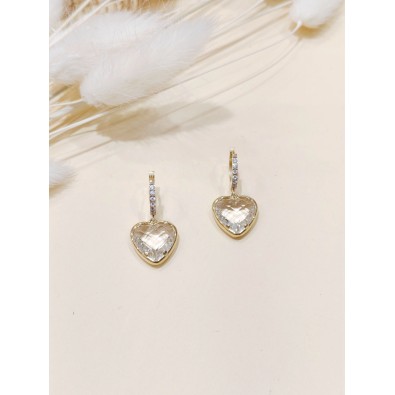 Boucles d'oreilles acier inoxydable E493