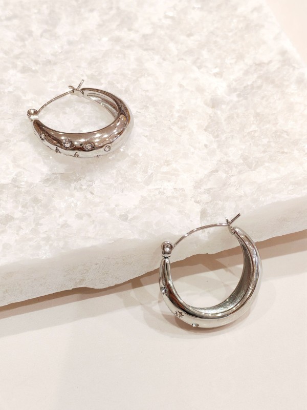 Boucles d'oreilles acier inoxydable E496