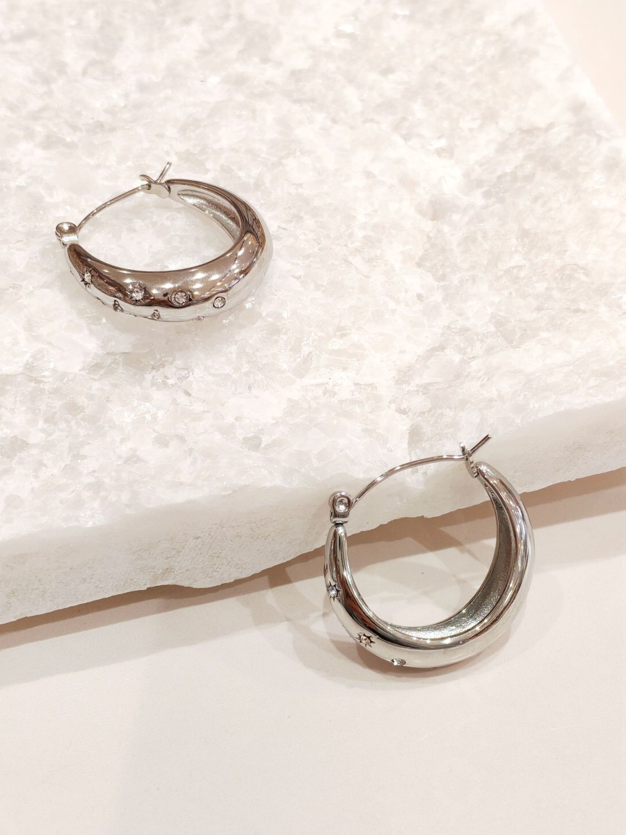 Boucles d'oreilles acier inoxydable E496