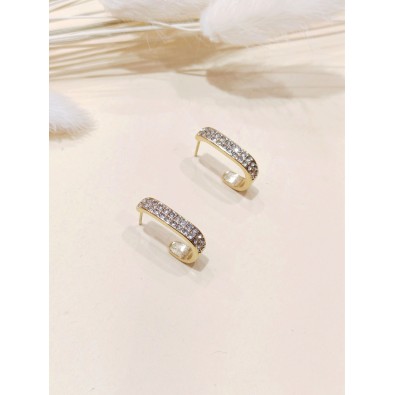 Boucles d'oreilles acier inoxydable E509
