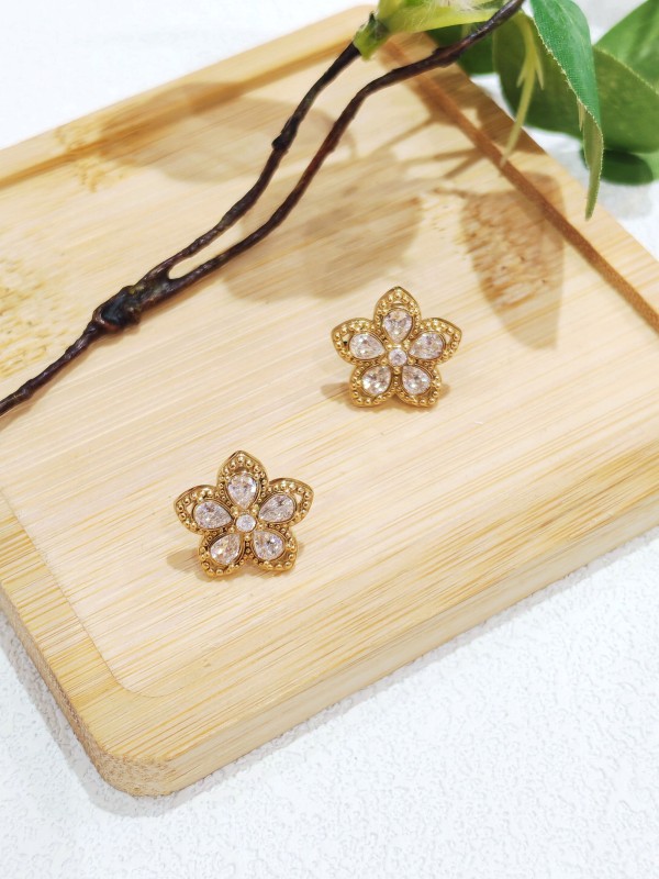 Boucles d'oreilles acier inoxydable E528
