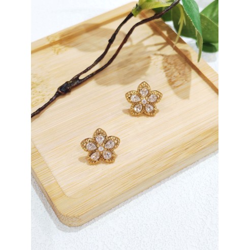 Boucles d'oreilles acier inoxydable E528