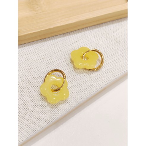 Boucles d'oreilles acier inoxydable E529