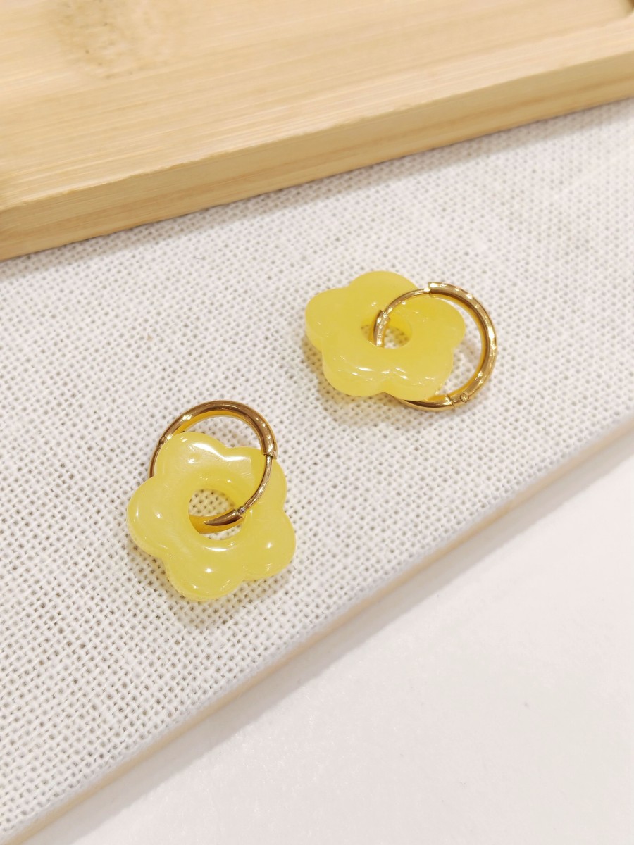 Boucles d'oreilles acier inoxydable E529