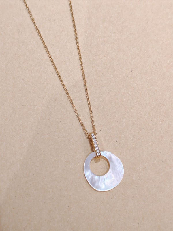 Collier en acier inoxydable N356
