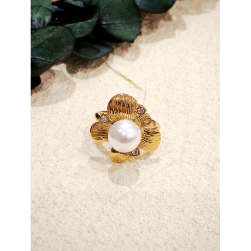 Bague réglable en acier inoxydable R224