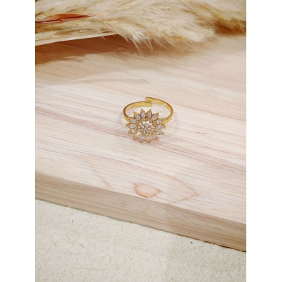 Bague réglable en acier inoxydable R227