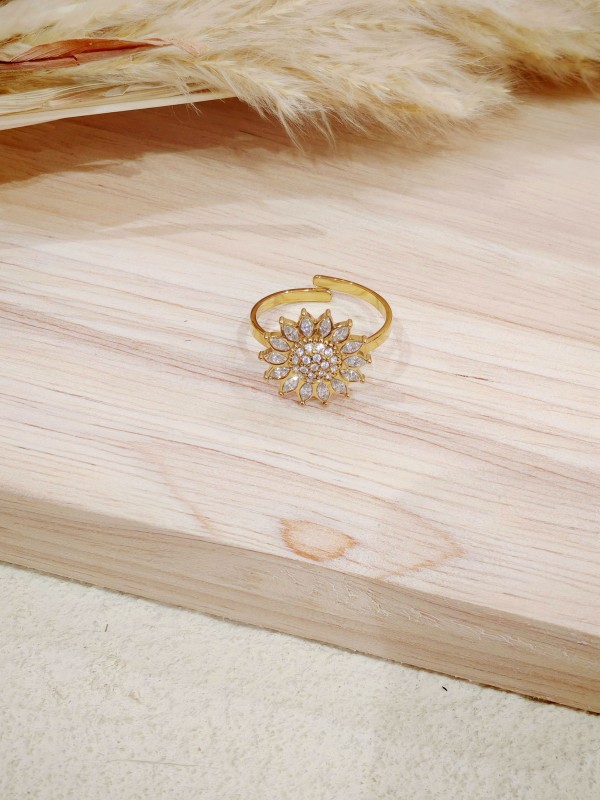Bague réglable en acier inoxydable R227