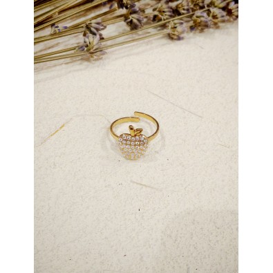 Bague réglable en acier inoxydable R230