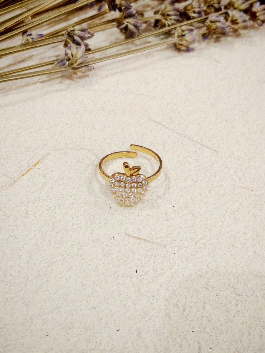 Bague réglable en acier inoxydable R230