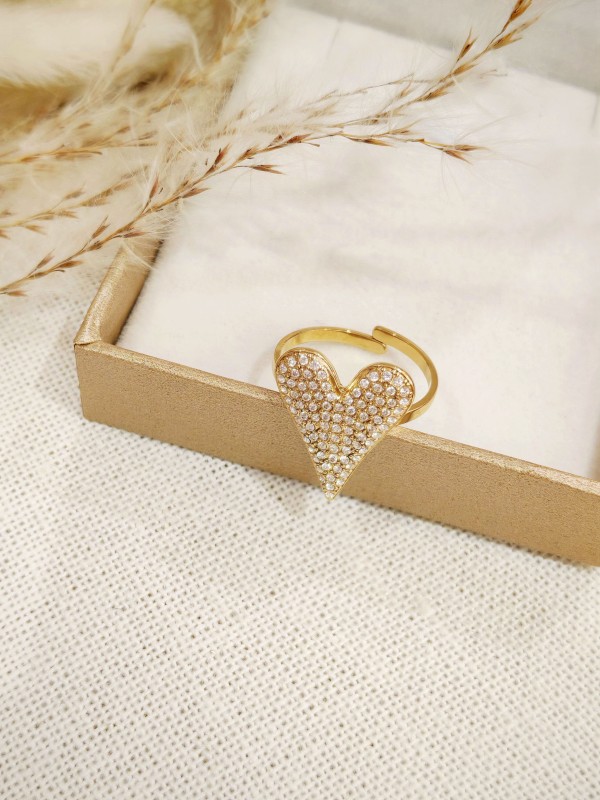 Bague réglable en acier inoxydable R234