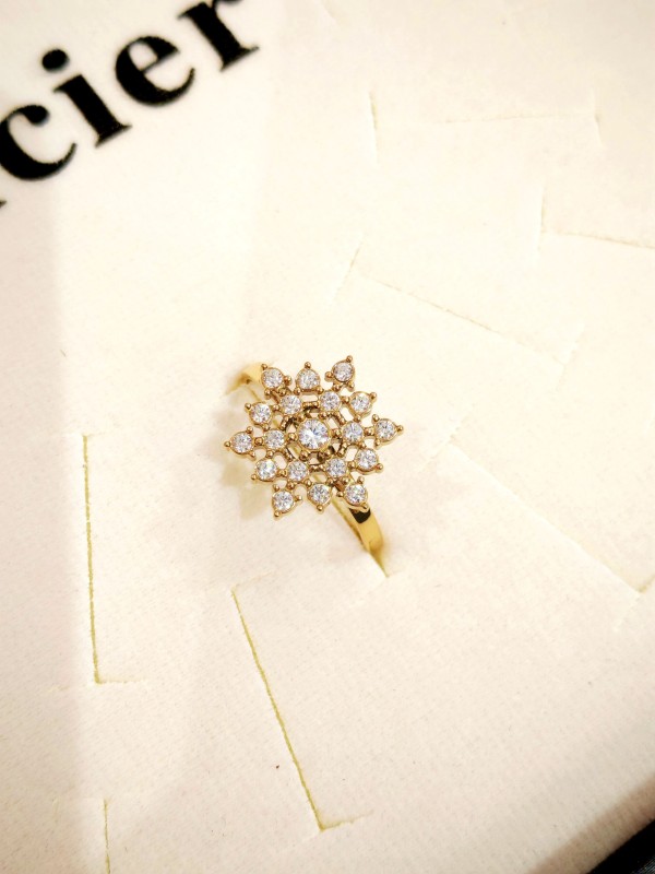 Bague réglable en acier inoxydable R236