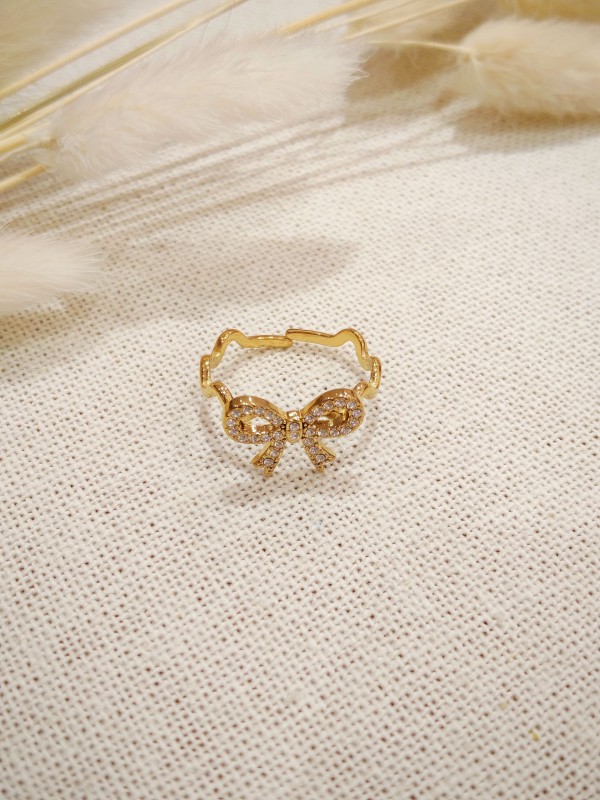 Bague réglable en acier inoxydable R243