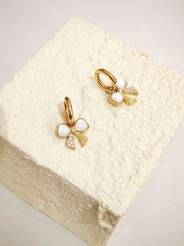 Boucles d'oreilles acier inoxydable E538