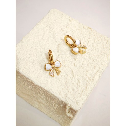 Boucles d'oreilles acier inoxydable E538