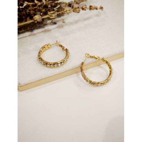 Boucles d'oreilles acier inoxydable E541