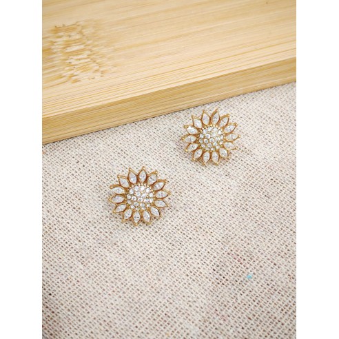 Boucles d'oreilles acier inoxydable E543