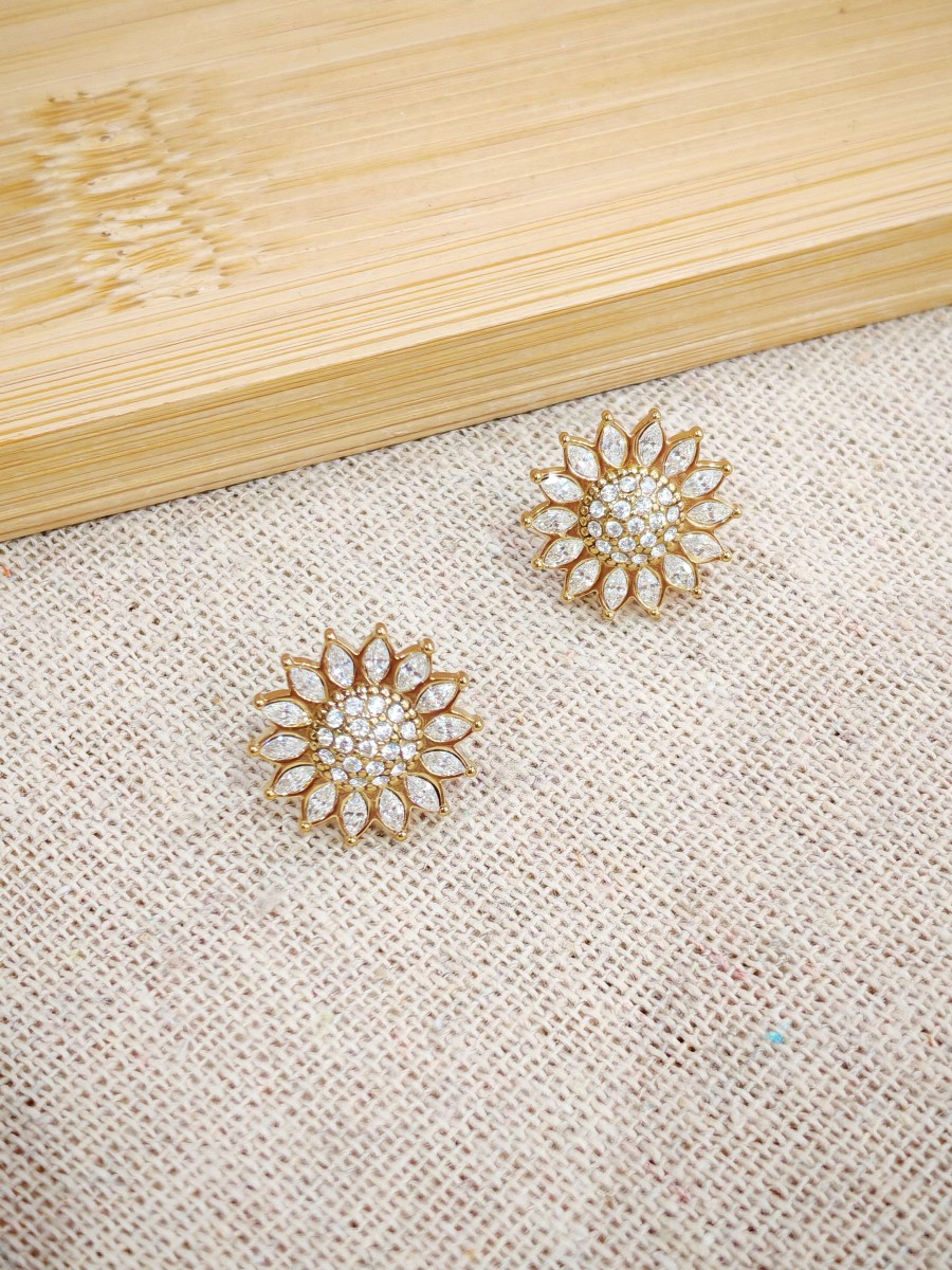 Boucles d'oreilles acier inoxydable E543