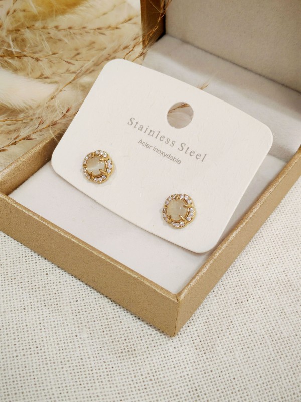 Boucles d'oreilles acier inoxydable E546