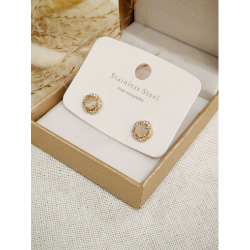 Boucles d'oreilles acier inoxydable E546