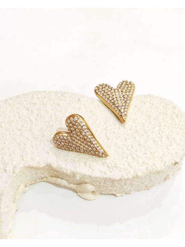 Boucles d'oreilles acier inoxydable E550