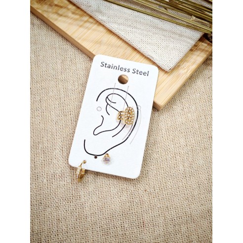 Boucles d'oreilles acier inoxydable E553