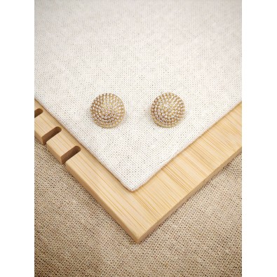 Boucles d'oreilles acier inoxydable E556