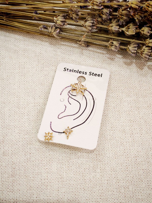 Boucles d'oreilles acier inoxydable E559