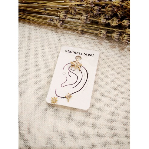 Boucles d'oreilles acier inoxydable E559