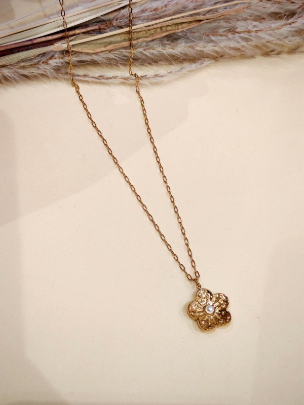 Collier en acier inoxydable N418