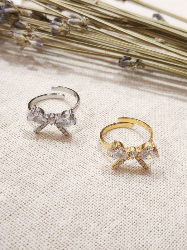 Bague réglable en acier inoxydable R252