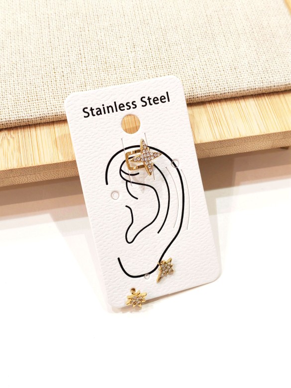 Boucles d'oreilles en acier inoxydable E568