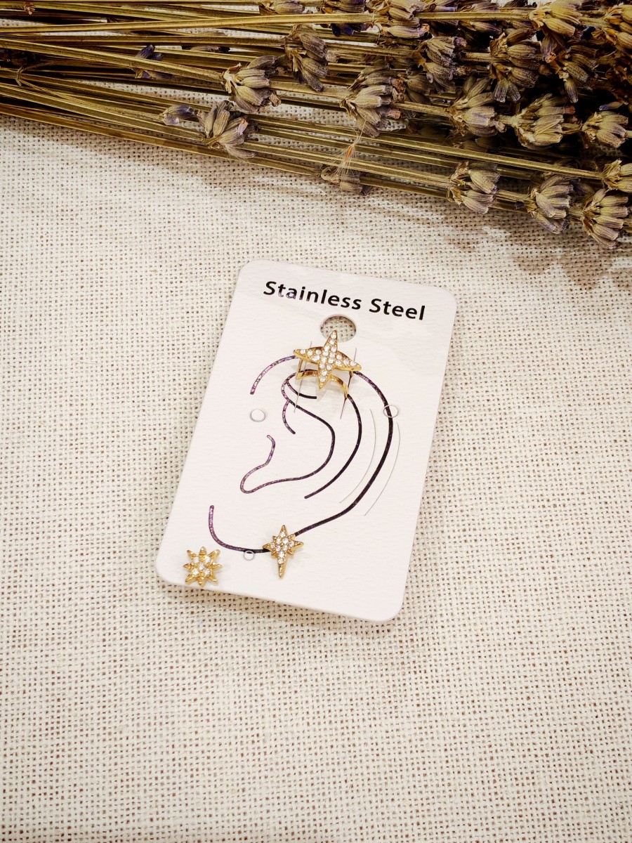 Boucles d'oreilles en acier inoxydable E568